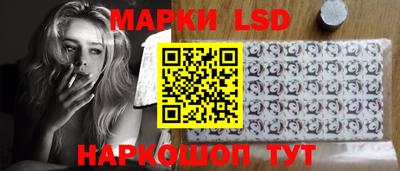 хмурый Тавда