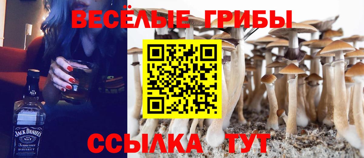 Корсаков  Псилоцибиновые грибы ЛСД  Вход с VPN 